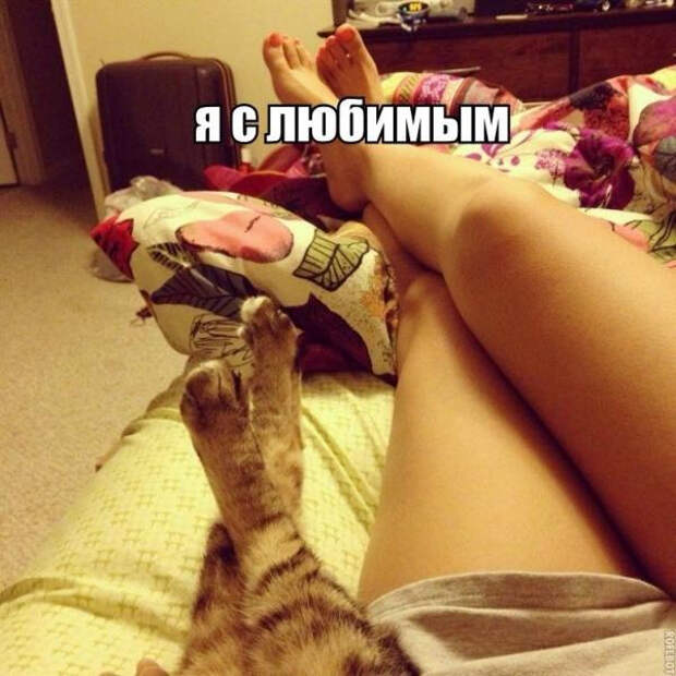 smeshnie_kartinki_14136378051 (600x600, 262Kb)