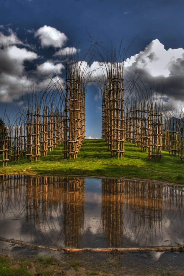 Храм из растущих деревьев в Италии (фото)