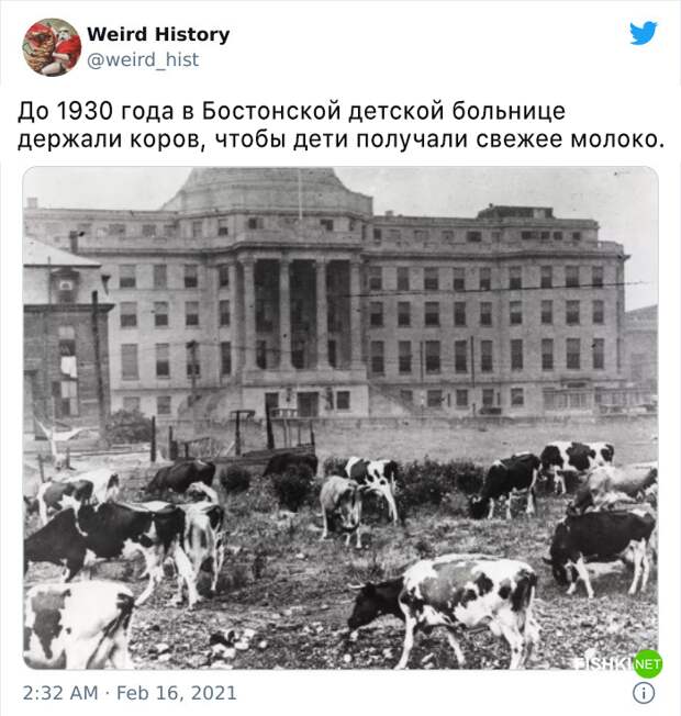 8.