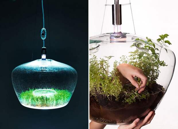 Самые креативные лампы и светильники creativelamps02 800x581 Самые креативные лампы и светильники