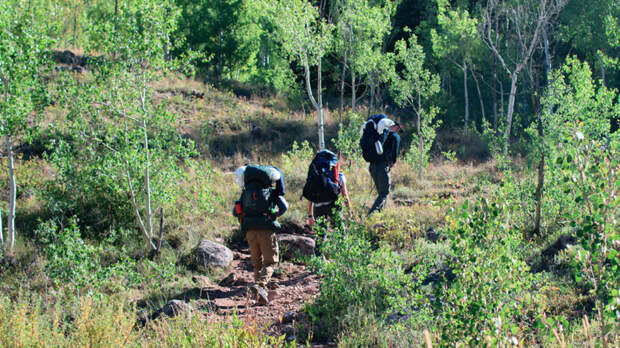 Турист загадочно исчез на горном перевале Алтая