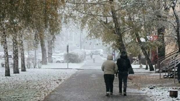 Снегопад в Барнауле / Фото: amic.ru / Екатерина Смолихина