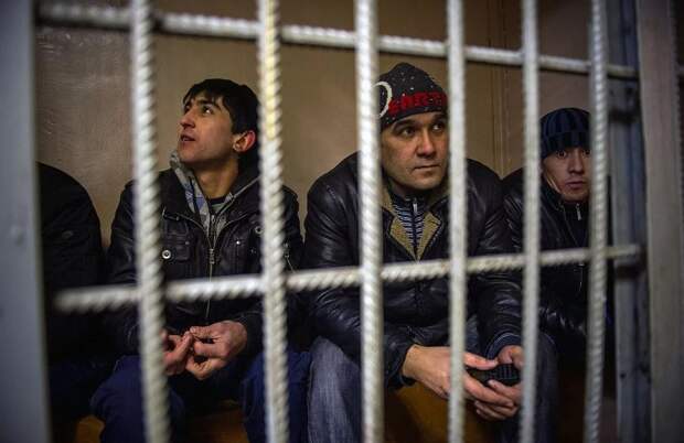 В Белгородской области жертвами мигрантов становятся дети