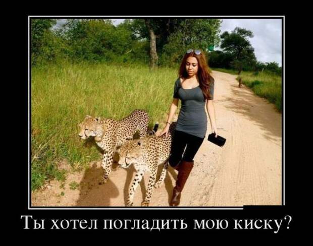 Демотиваторы (30 фото) Демотиваторы (30 фото)