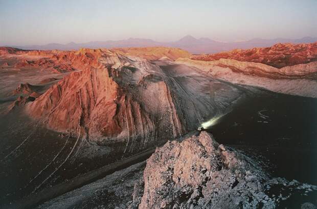Desert erupts in floral beauty after unexpected rain falls in driest place on Earth