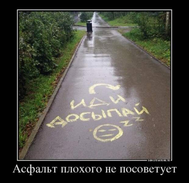 Прикольные демотиваторы (13 фото)