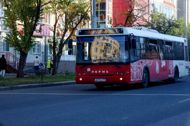 В Перми изменится схема движения пяти автобусов