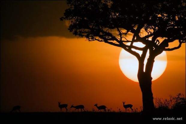 nature_044