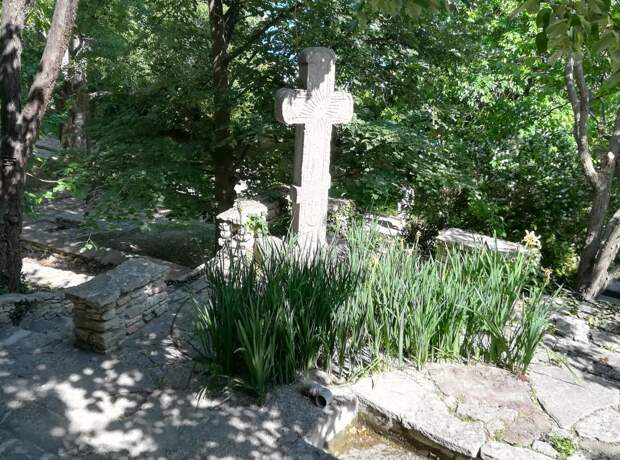 Фото: Анна Попкова