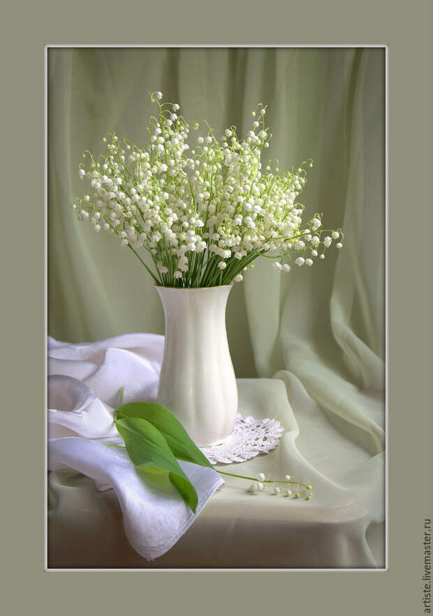 Картинки по запросу фото  натюрморты белые цветы