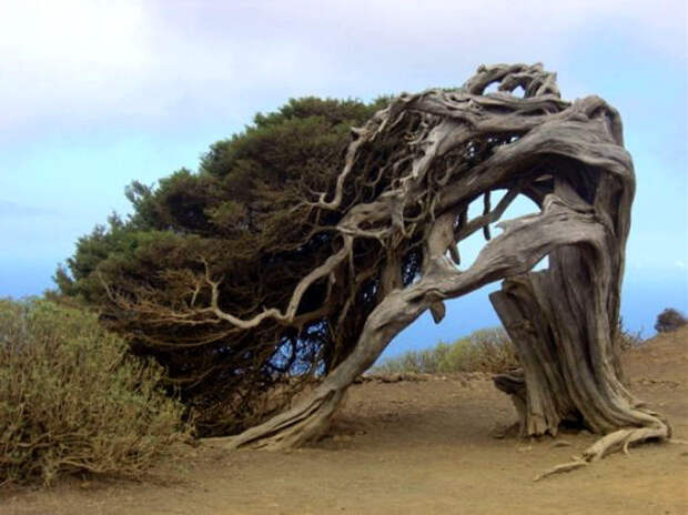 Странные, настораживающие и удивительные процессы в мире, о которых никто не говорит в новостях