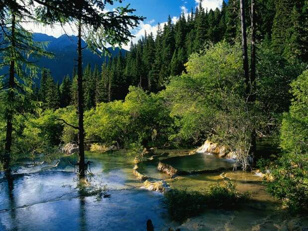 1340611641_88147757_prekrasnyi_peizaj1320 (700x525, 392Kb)