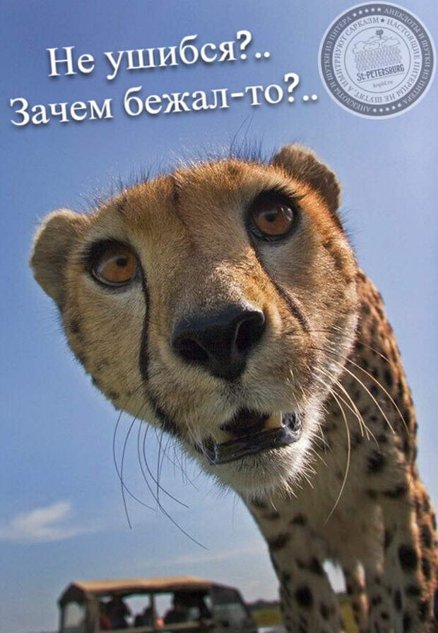 Не ушибся? Зачем бежал-то?