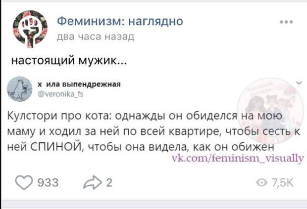 Даже коты угнетают... Даже коты угнетают...