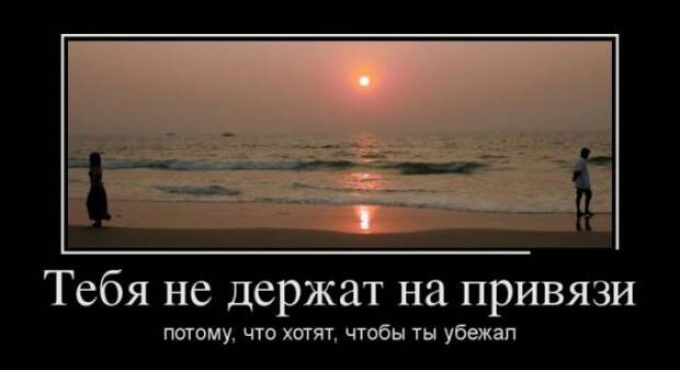 Обо всём.