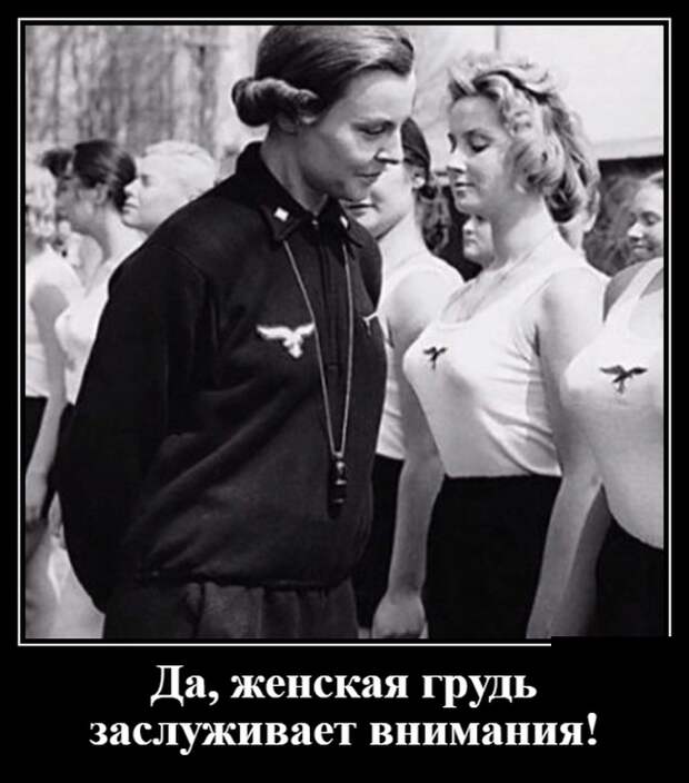 Демотиваторы (30 фото)