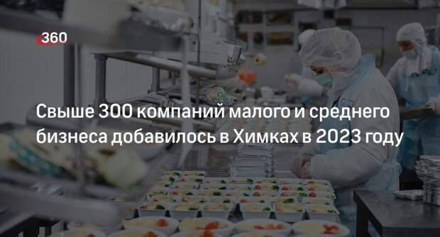 Свыше 300 компаний малого и среднего бизнеса добавилось в Химках в 2023 году