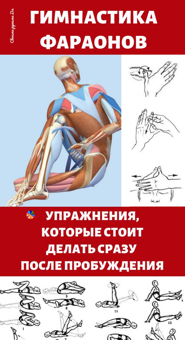 Несколько пробуждающих и стимулирующих упражнений, которые можно выполнять не вставая с постели, а также они помогут вам чувствовать себя бодро на протяжении всего дня. Комплекс постельной гимнастики, разработанный египетскими жрецами специально для фараонов, который поможет быстрее проснуться и уверенно встретить предстоящий трудовой день.