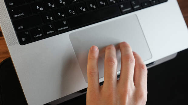 Собянин: практически 100% социально значимых услуг переведены в электронный вид