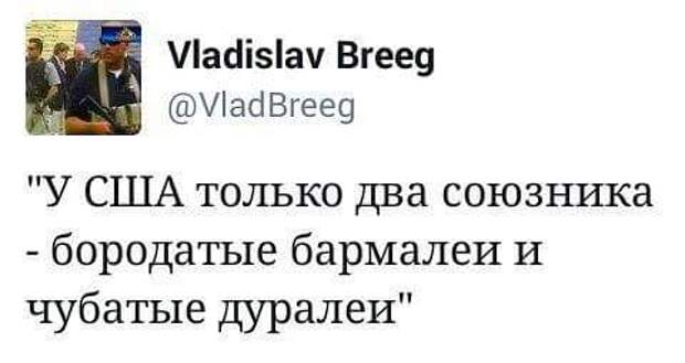 6CKdPVjCL7M.jpg