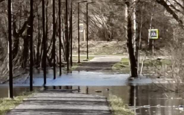 В Спас-Клепиках Пра затопила «БАМ»