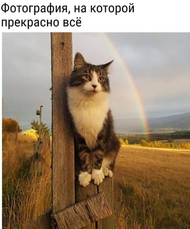 Фотоподборка выходная (123 фото) Фотоподборка выходная (123 фото)