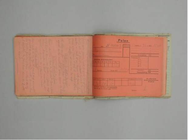 Содержание поваренных книг, написанных узниками концентрационных лагерей