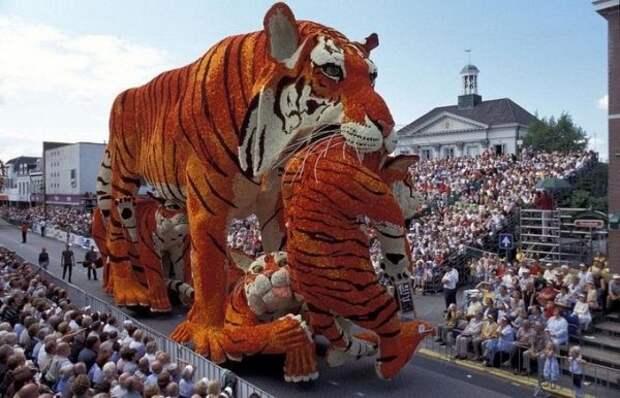 Скульптуры из цветов на параде Bloemencorso Zundert (21 фото)