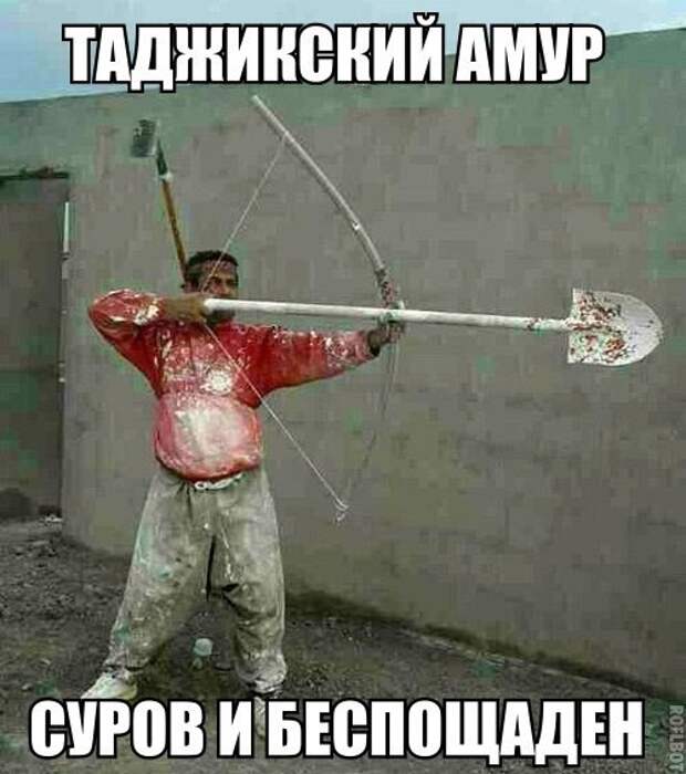 Картинки, юмор, приколы