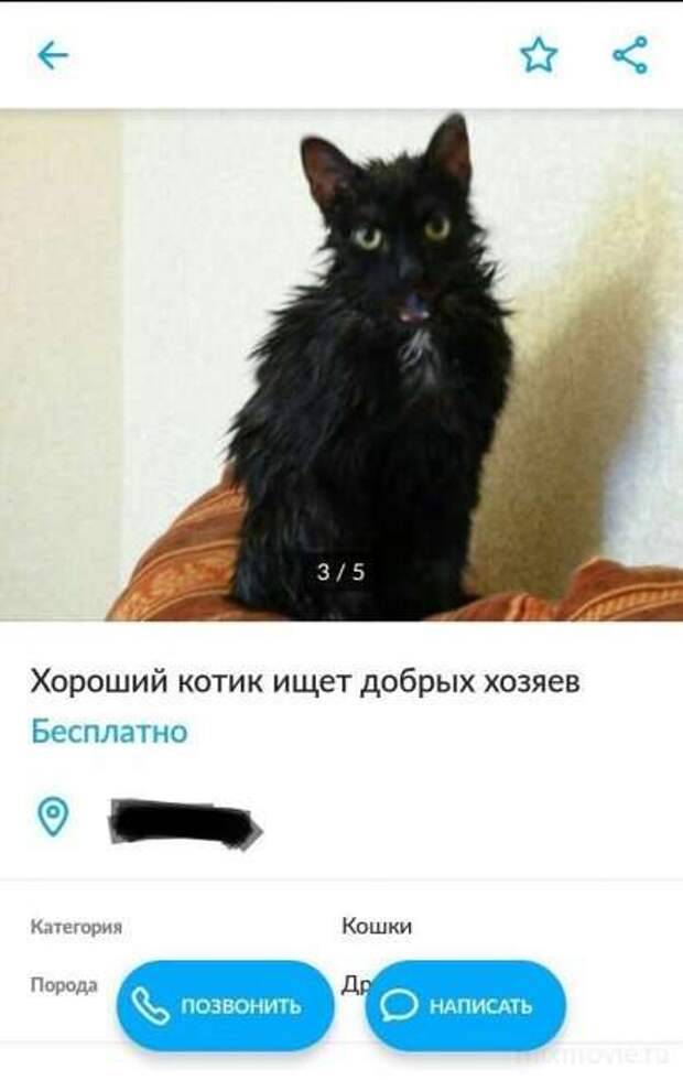 Смешные комментарии. Подборка chert-poberi-chert-poberi-56500606042020-10 картинка chert-poberi-56500606042020-10