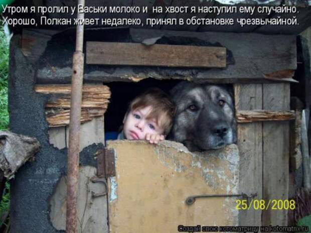 Котоматрицы (картинки с надписями)