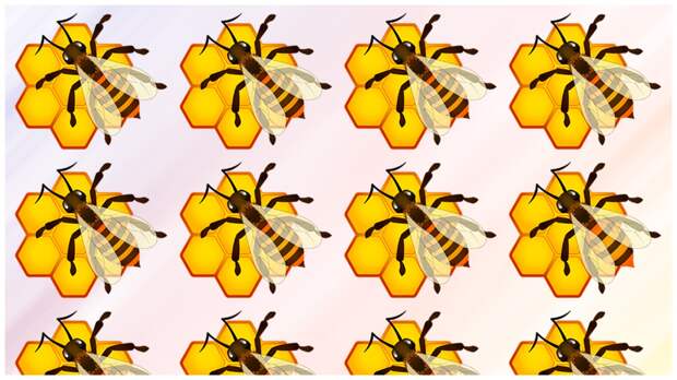 Тест на внимательность: найдите за одну минуту чем отличается пчела на пчелиных сотах от других пчел