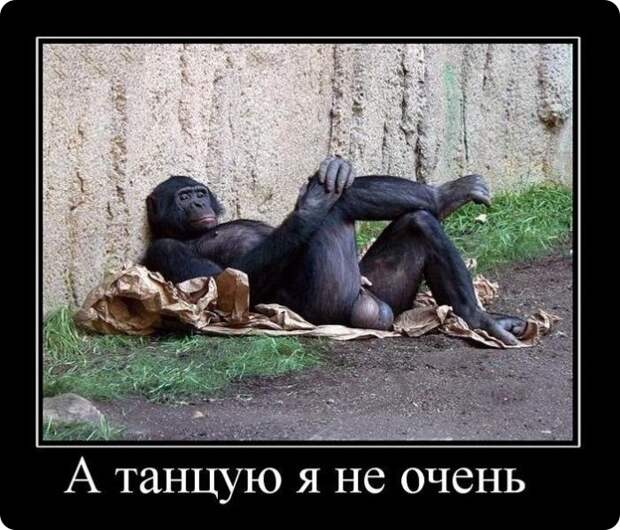 Всячина...