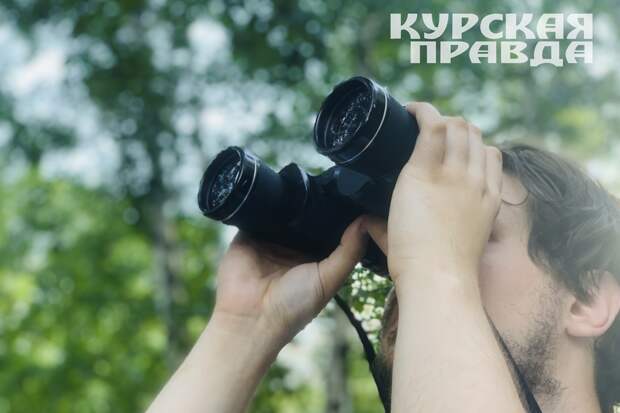 ВСУ обстреляли приграничье