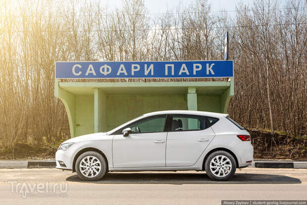 Сафари парк "Кудыкина Гора". Место, куда нужно приехать с детьми / Фото из России