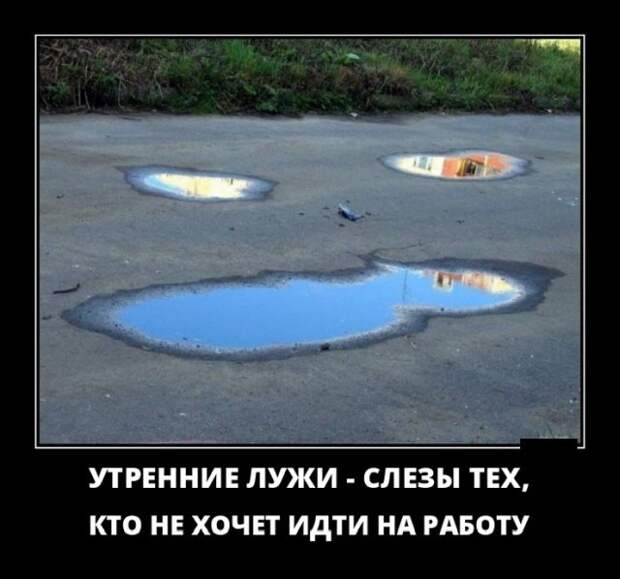 Демотиваторы