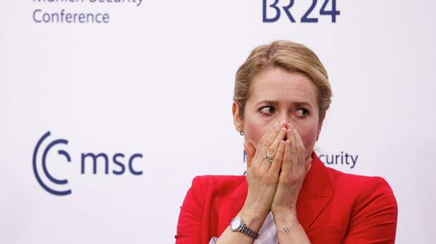 "Может навредить": Каллас выступила с мрачным предупреждением по Украине