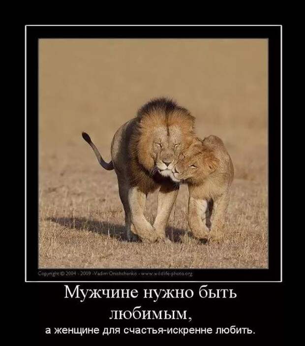 Прикольные демотиваторы с надписями. Подборка chert-poberi-dem-chert-poberi-dem-35340324052020-17 картинка chert-poberi-dem-35340324052020-17