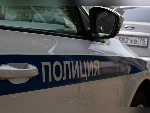 В Калге полицейские задержали подозреваемого в краже