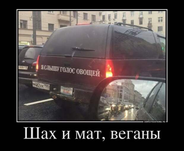 Демотиваторы на любой вкус (13 шт)