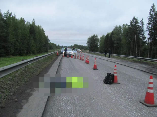 В Ярославской области вынесли приговор водителю-наркоману, который насмерть сбил дорожного рабочего