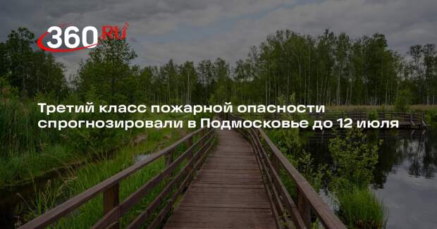 Третий класс пожарной опасности спрогнозировали в Подмосковье до 12 июля