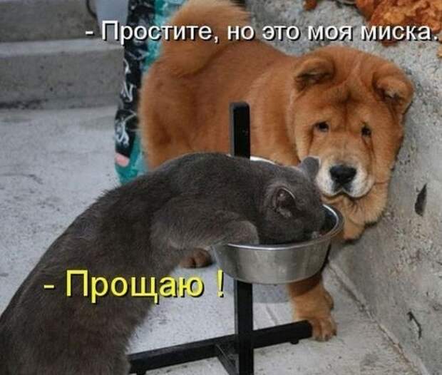 Подборка доброго юмора подборка, прикол, шутка, юмор