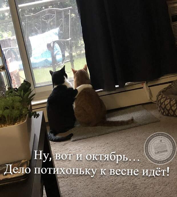 Дело потихоньку к весне идёт…