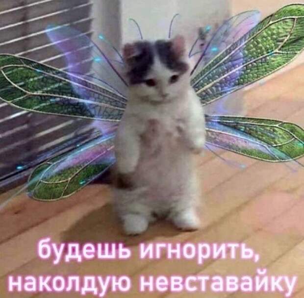 Мемы и приколы про &quot;это&quot;