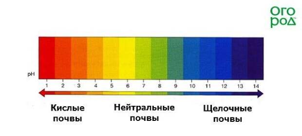 Шкала кислотности почв