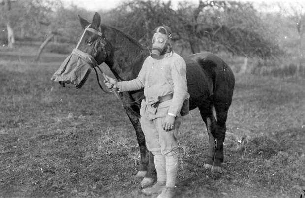 Солдат с лошадью в противогазах, 1918
