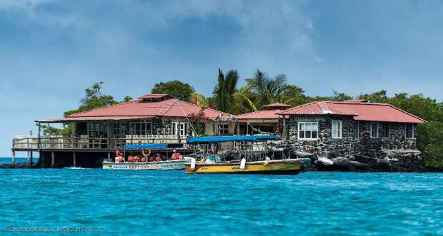 galapagos02 Галапагосы. Остров Санта Фе