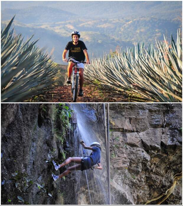 Любители активного отдыха могут отправиться в горы или прокатиться на велосипеде по бескрайним полям агавы («Matices Hotel de Barricas», Мексика). | Фото: tequilacofradia.com.mx.