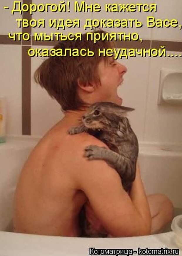 Лучшие котоматрицы недели